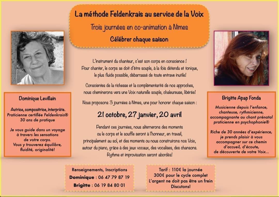 Stage Feldenkrais et voix